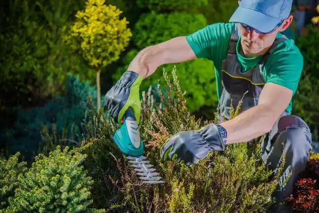 landscaping services Minford